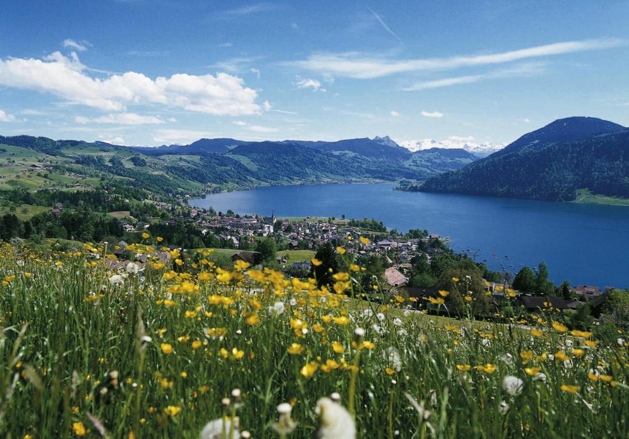 Seminarhotel Am Aegerisee Unterägeri Exteriér fotografie